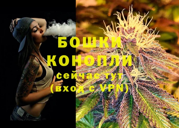 шишки Балахна