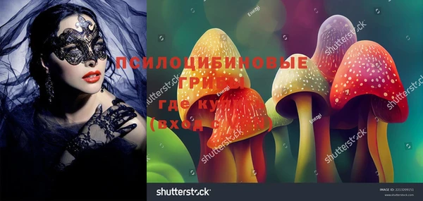 дмт Аркадак
