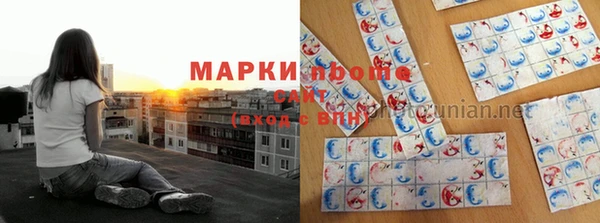 дмт Аркадак
