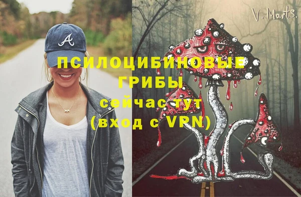 дмт Аркадак