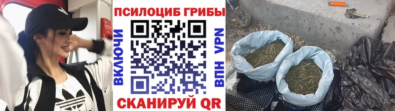 Галлюциногенные грибы мицелий omg ТОР Гвардейск